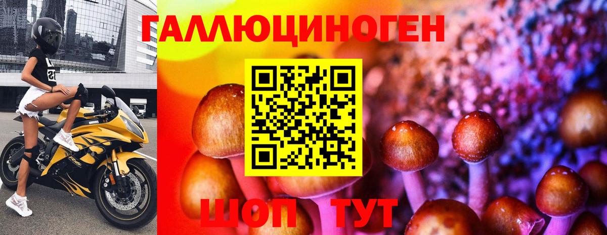 Псилоцибиновые грибы мицелий  Псилоцибиновые грибы ЛСД  продажа наркотиков  Каменск-Уральский  Вход с VPN 